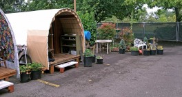 Another view of the huts. The fencing is built to offer privacy for the residents of the homes. 